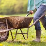 El Ayuntamiento de Albuixech contrata 4 peones agrícolas para tareas de mantenimiento en caminos rurales y acequias.